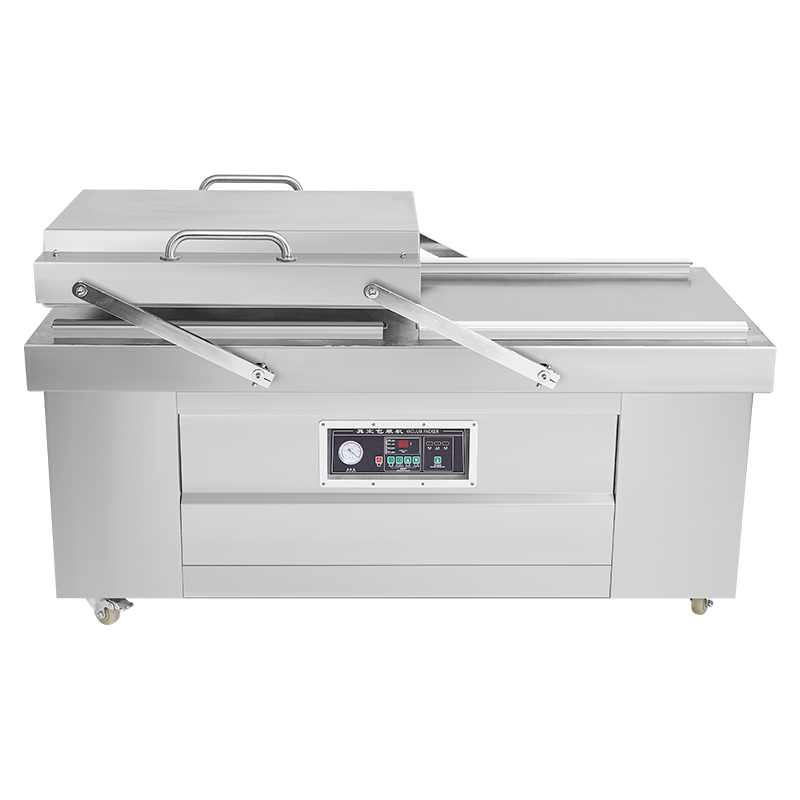 Penyegelan Vakum Ganda DZ-800- - Meal Prep Vacuum Sealer ulasan dan harga
