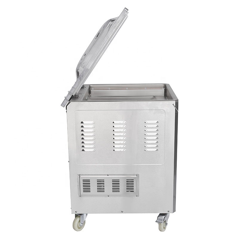 Fubei DZ-500 2Mesin Pengemas V - Meal Prep Vacuum Sealer ulasan dan harga
